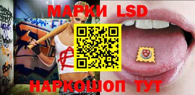крисы Моздок