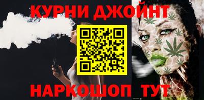 крисы Моздок