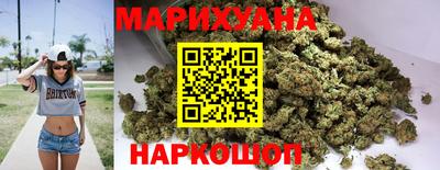 крисы Моздок