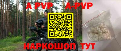 крисы Моздок